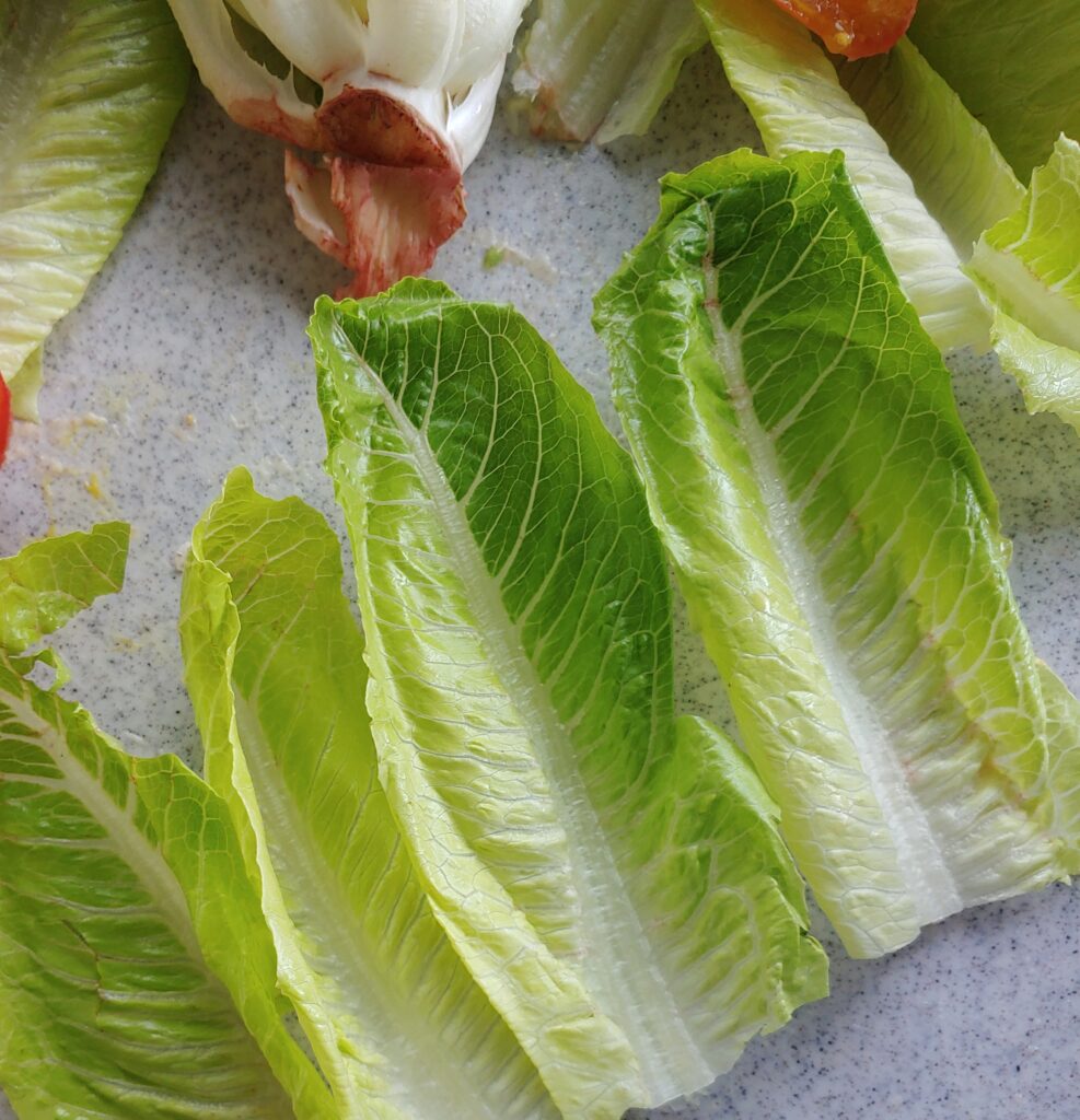 lay down lettuce leaves for sandwich